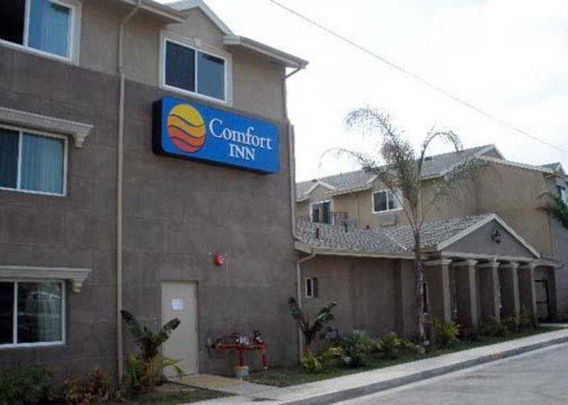 Comfort Inn Cockatoo Near Lax Hawthorne Kültér fotó